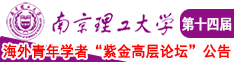 骚屄都爱干南京理工大学第十四届海外青年学者紫金论坛诚邀海内外英才！